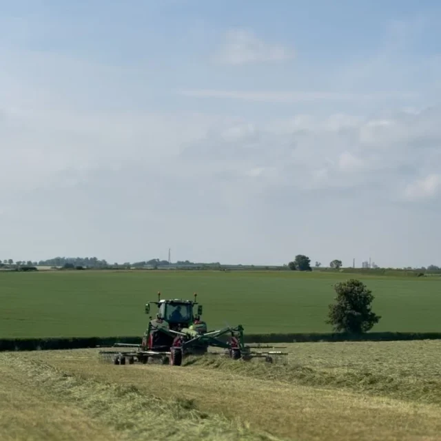 🌱🌿 Fendt Former 🌿🌱

The innovative hay rake with an operating width of up to 13.8m⚡️

Smart details like flexHigh, CamControl, SteerGuard or the Jet-Effect 🛩️ 

Sturdy design that ensures a long life time 💪